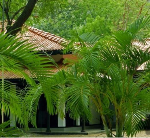 Jayasinghe Holiday Resort Kataragama Exterior foto